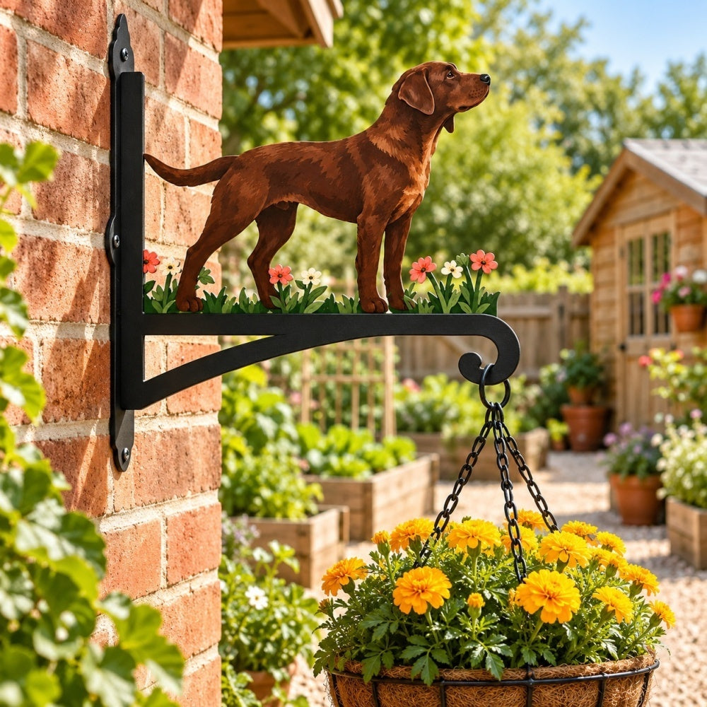 Hanging Basket Bracket – Labrador