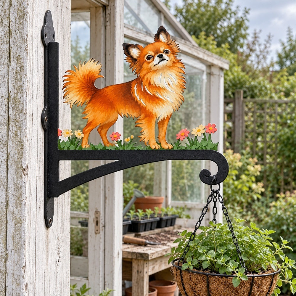 Hanging Basket Bracket – Long Haired Chihuahua Dog
