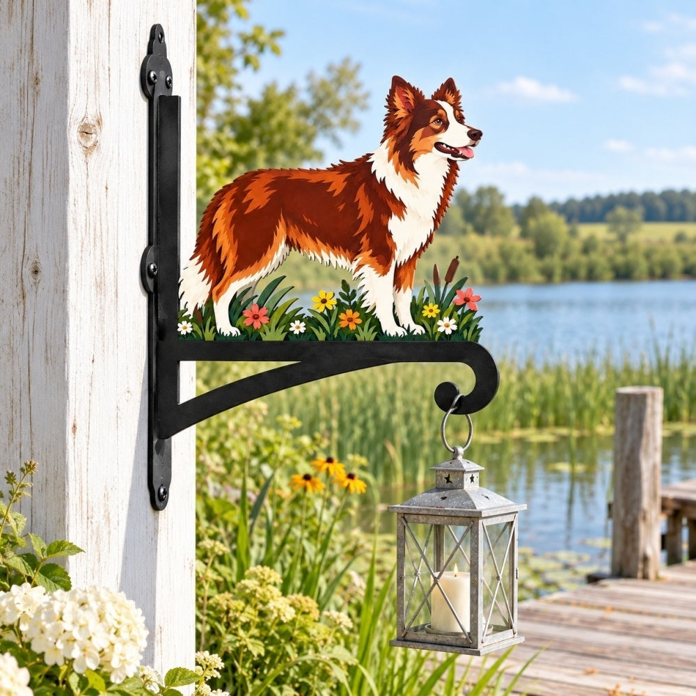 Hanging Basket Bracket – Border Collie