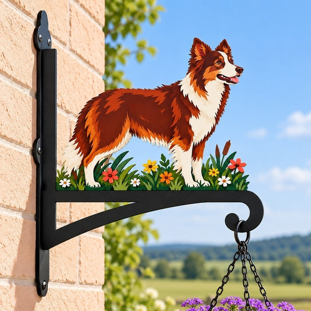 Hanging Basket Bracket – Border Collie