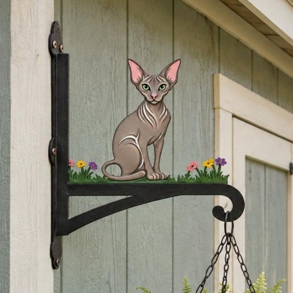 Hanging Basket Bracket – Hairless Sphynx Cat