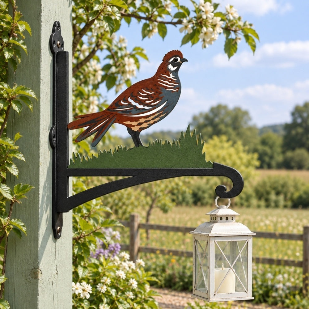 Hanging Basket Bracket – Pheasant Bird