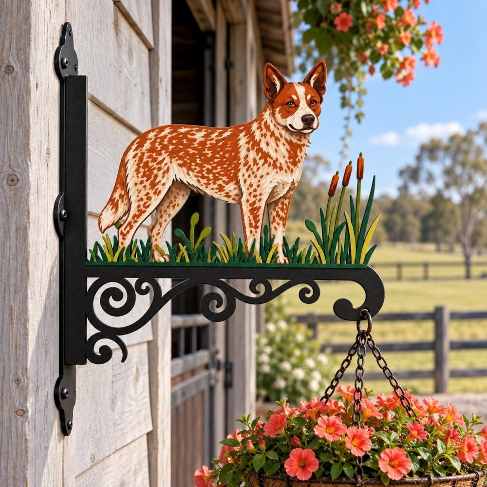 Hanging Basket Bracket – Australian Cattle Dog