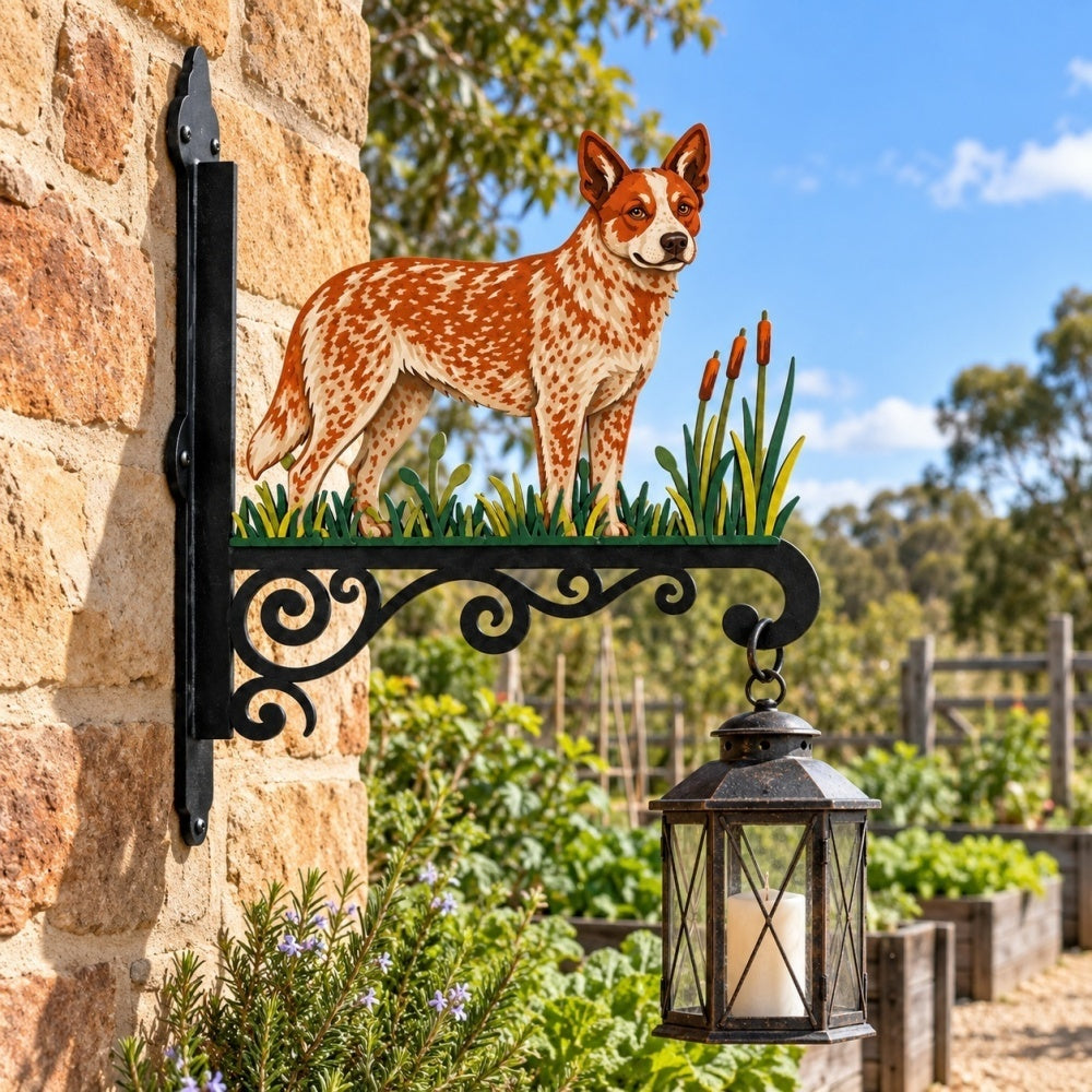 Hanging Basket Bracket – Australian Cattle Dog