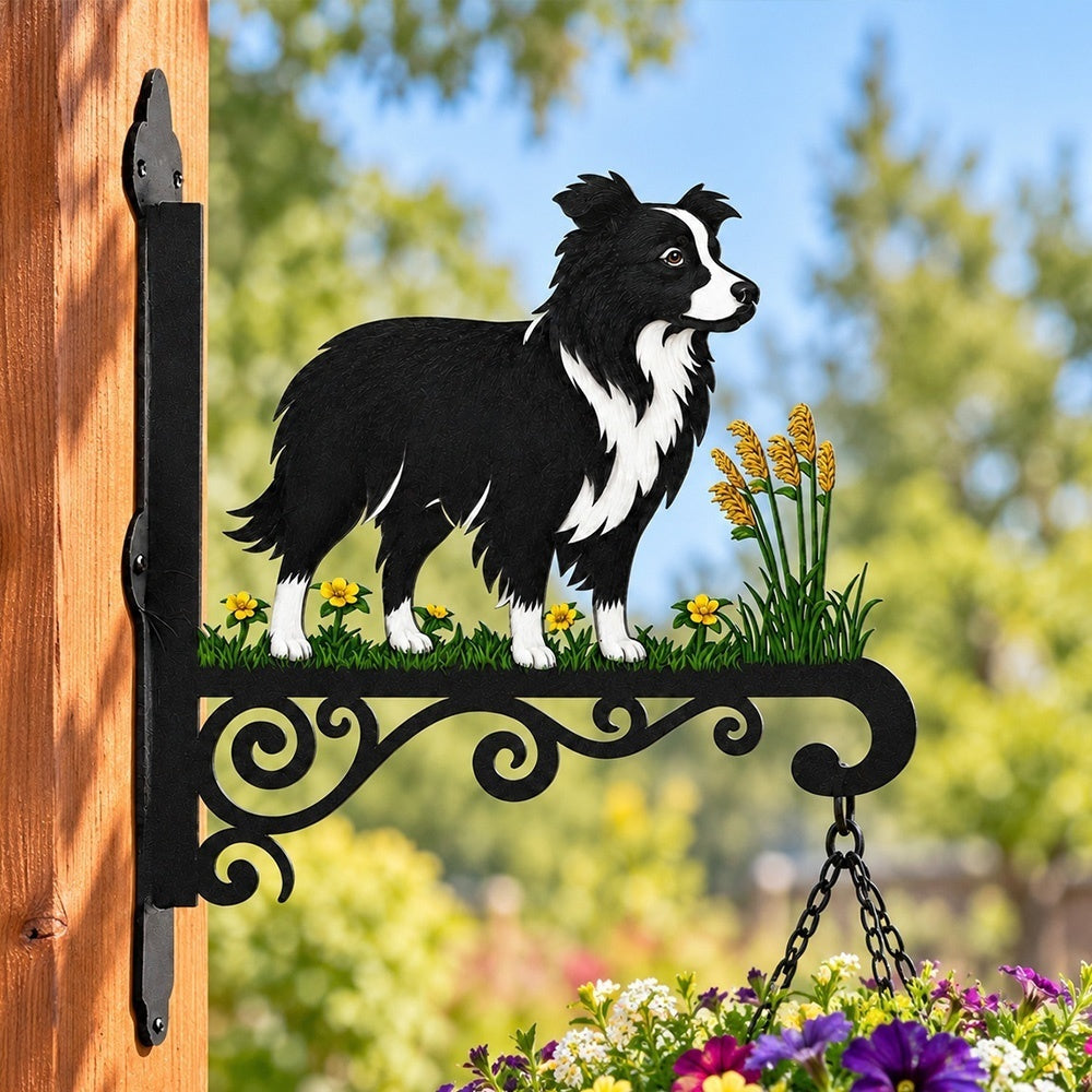Hanging Basket Bracket – Border Collie