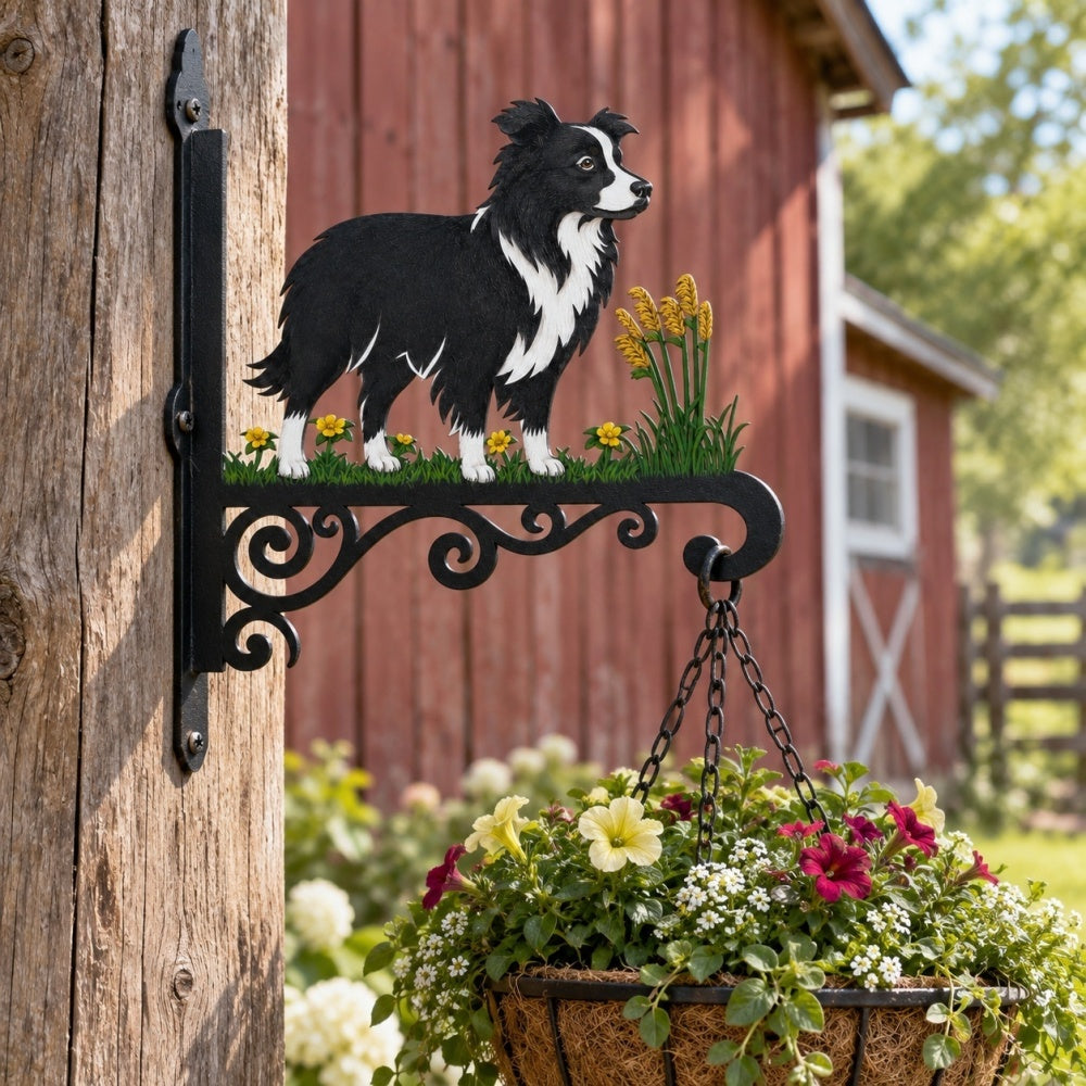 Hanging Basket Bracket – Border Collie