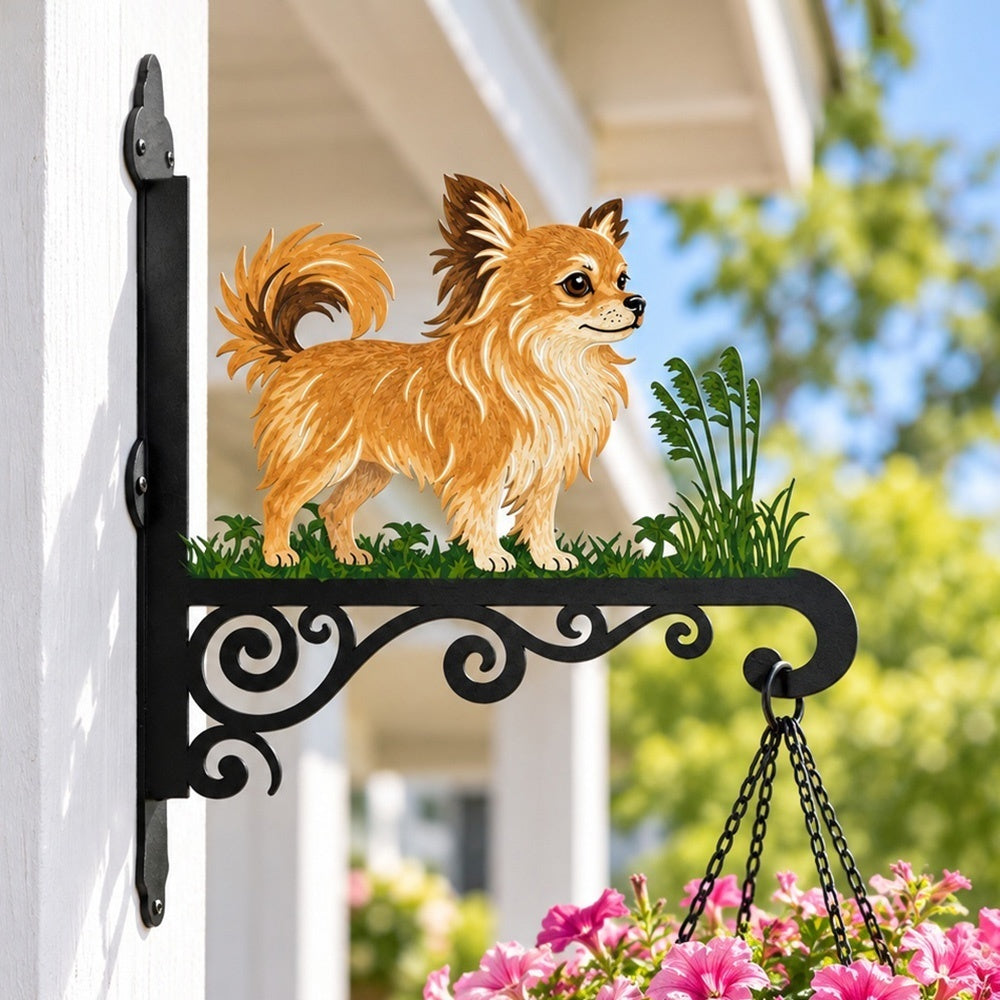 Hanging Basket Bracket – Chihuahua