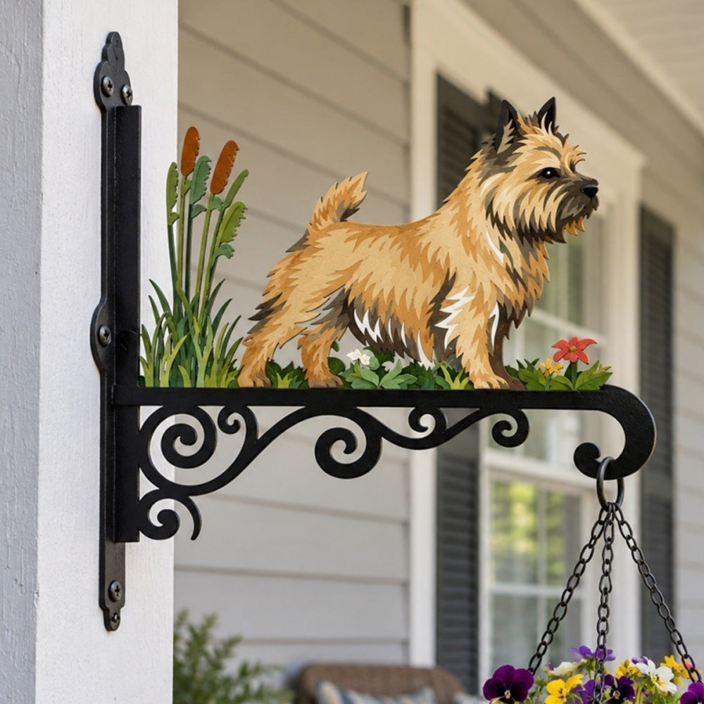 Hanging Basket Bracket – Norwich Terrier