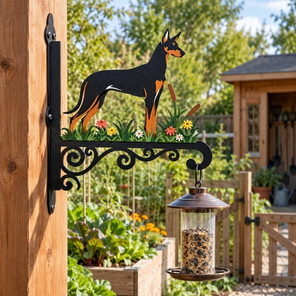 Hanging Basket Bracket – Pharaoh Hound