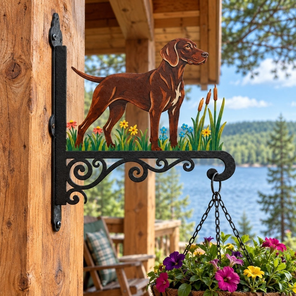 Hanging Basket Bracket – Vizsla