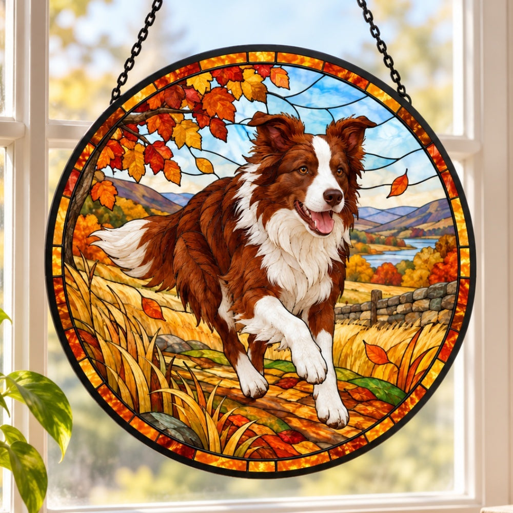 Stained Glass Suncatcher – Border Collie