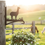 Alpaca llama metal hanging basket bracket mounted on outdoor wall for plant decoration