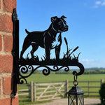 American staffordshire terrier metal hanging basket bracket mounted on outdoor wall for plant decoration