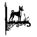 Basenji metal hanging basket bracket mounted on outdoor wall for plant decoration