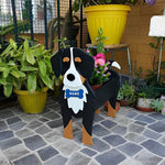 Bernese Mountain dog planter filled with fresh flowers is placed in the garden