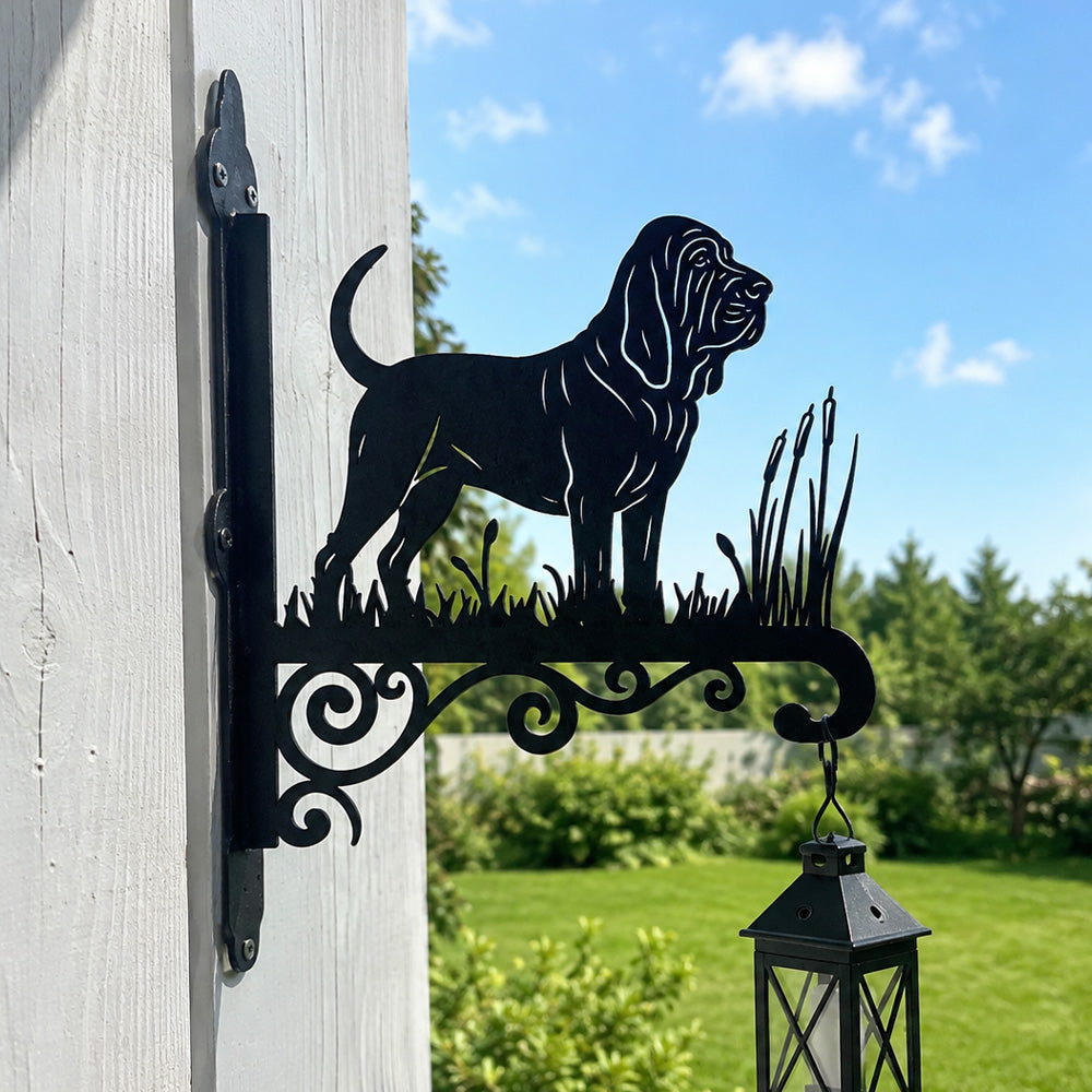 Bloodhound metal hanging basket bracket mounted on outdoor wall for plant decoration