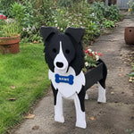 Border Collie dog planter filled with fresh flowers is placed in the garden