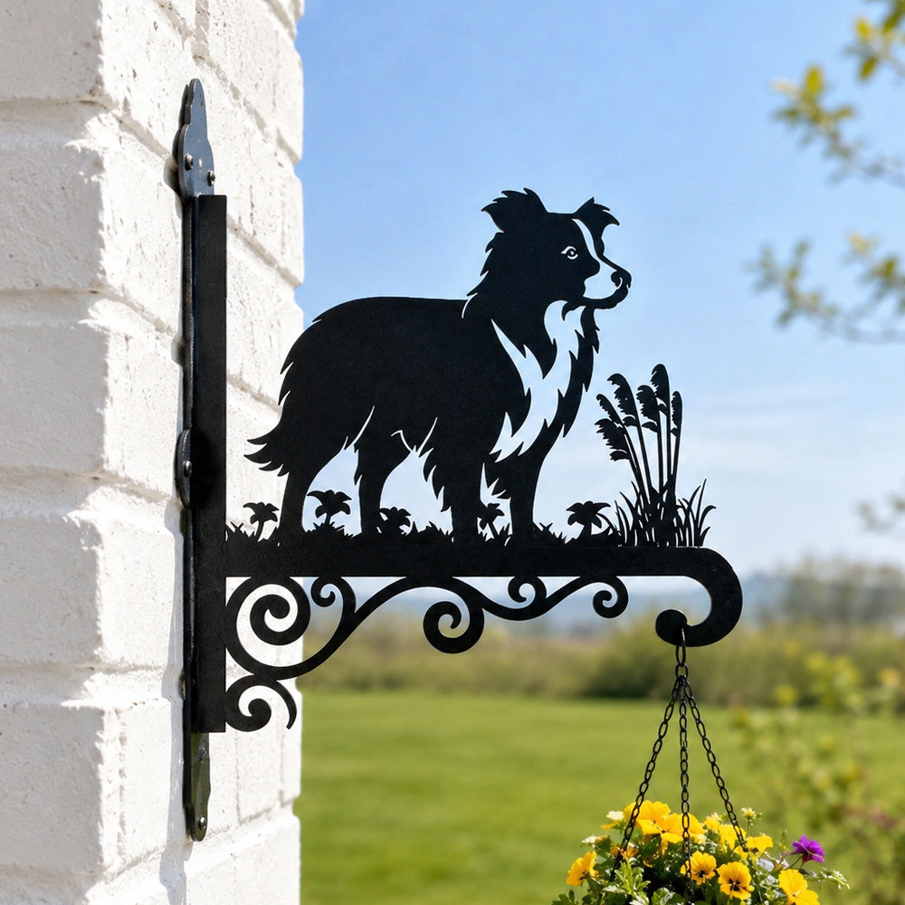 Border collie metal hanging basket bracket mounted on outdoor wall for plant decoration