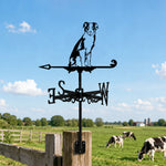 Border Collie metal weather vane with directional arrows and mounting rod, outdoor roof and garden decoration