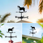 Border Collie metal weather vane with directional arrows and mounting rod, outdoor roof and garden decoration