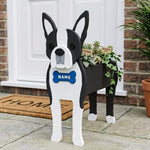 Boston Terrier dog planter filled with fresh flowers is placed in the garden