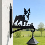 Boston terrier metal hanging basket bracket mounted on outdoor wall for plant decoration