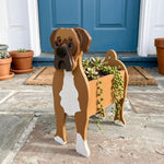 Boxer dog planter filled with fresh flowers is placed in the garden