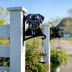 Boxer metal hanging basket bracket mounted on outdoor wall for plant decoration