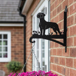 Boxer metal hanging basket bracket mounted on outdoor wall for plant decoration