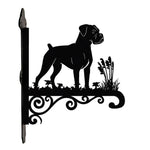 Boxer metal hanging basket bracket mounted on outdoor wall for plant decoration