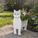 British shorthair cat planter filled with fresh flowers is placed in the garden