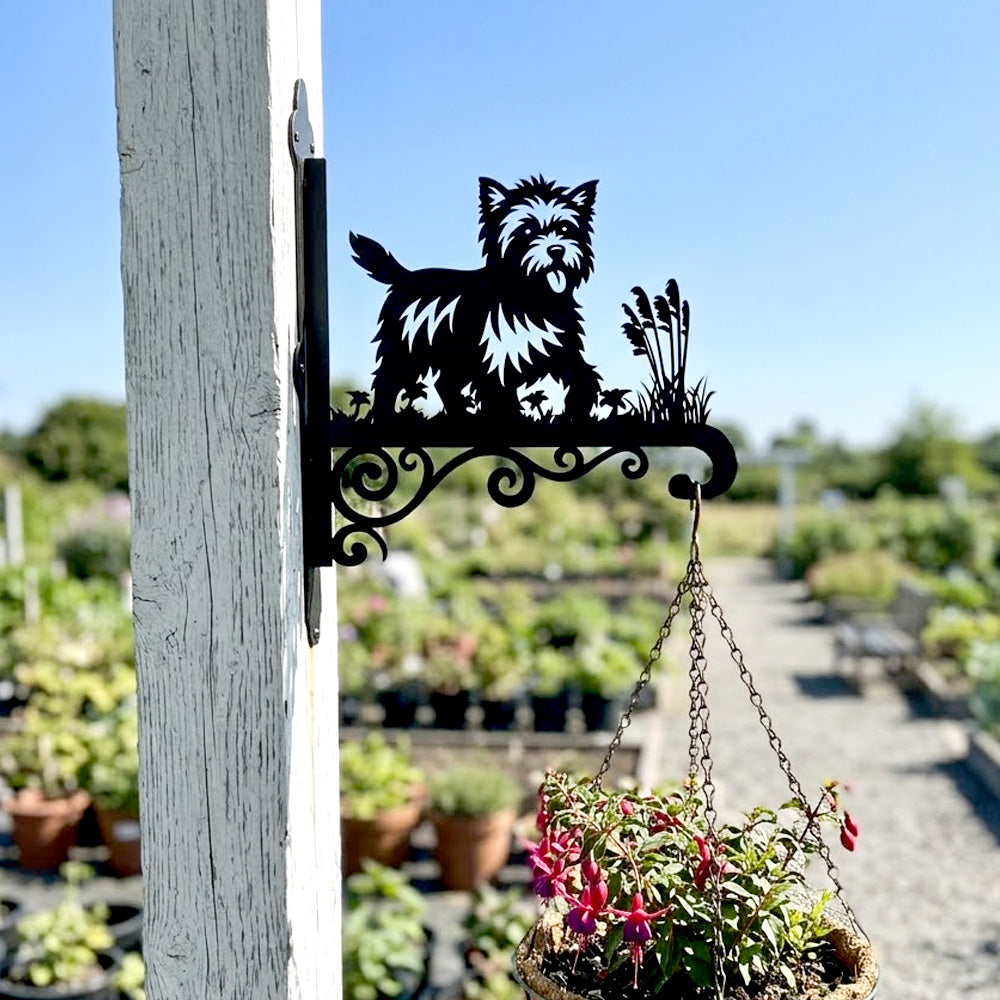 Cairn terrier metal hanging basket bracket mounted on outdoor wall for plant decoration