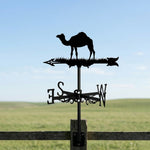Camel metal weather vane with directional arrows and mounting rod, outdoor roof and garden decoration