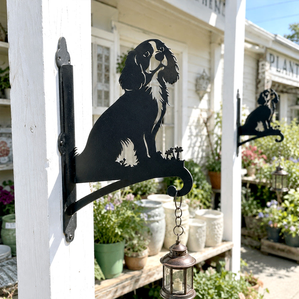 Cavalier king charles spaniel metal hanging basket bracket mounted on outdoor wall for plant decoration