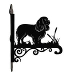 Cavalier king charles spaniel metal hanging basket bracket mounted on outdoor wall for plant decoration