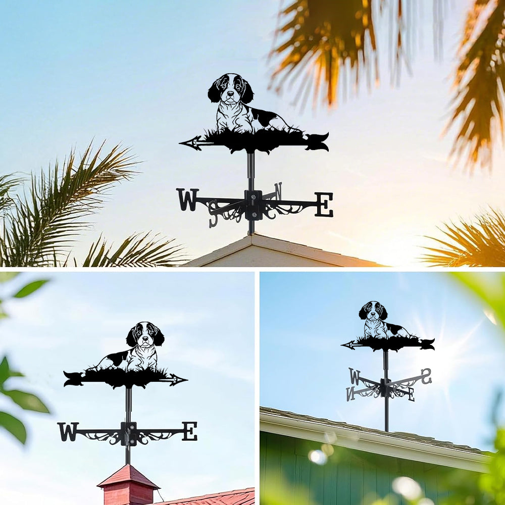 Cavalier King Charles Spaniel metal weather vane with directional arrows and mounting rod, outdoor roof and garden decoration
