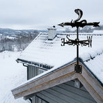 Cobra metal weather vane with directional arrows and mounting rod, outdoor roof and garden decoration
