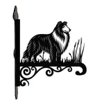 Collie metal hanging basket bracket mounted on outdoor wall for plant decoration