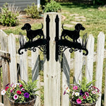 Dachshund metal hanging basket bracket mounted on outdoor wall for plant decoration