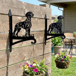 Dalmatian metal hanging basket bracket mounted on outdoor wall for plant decoration