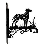 Dalmatian metal hanging basket bracket mounted on outdoor wall for plant decoration