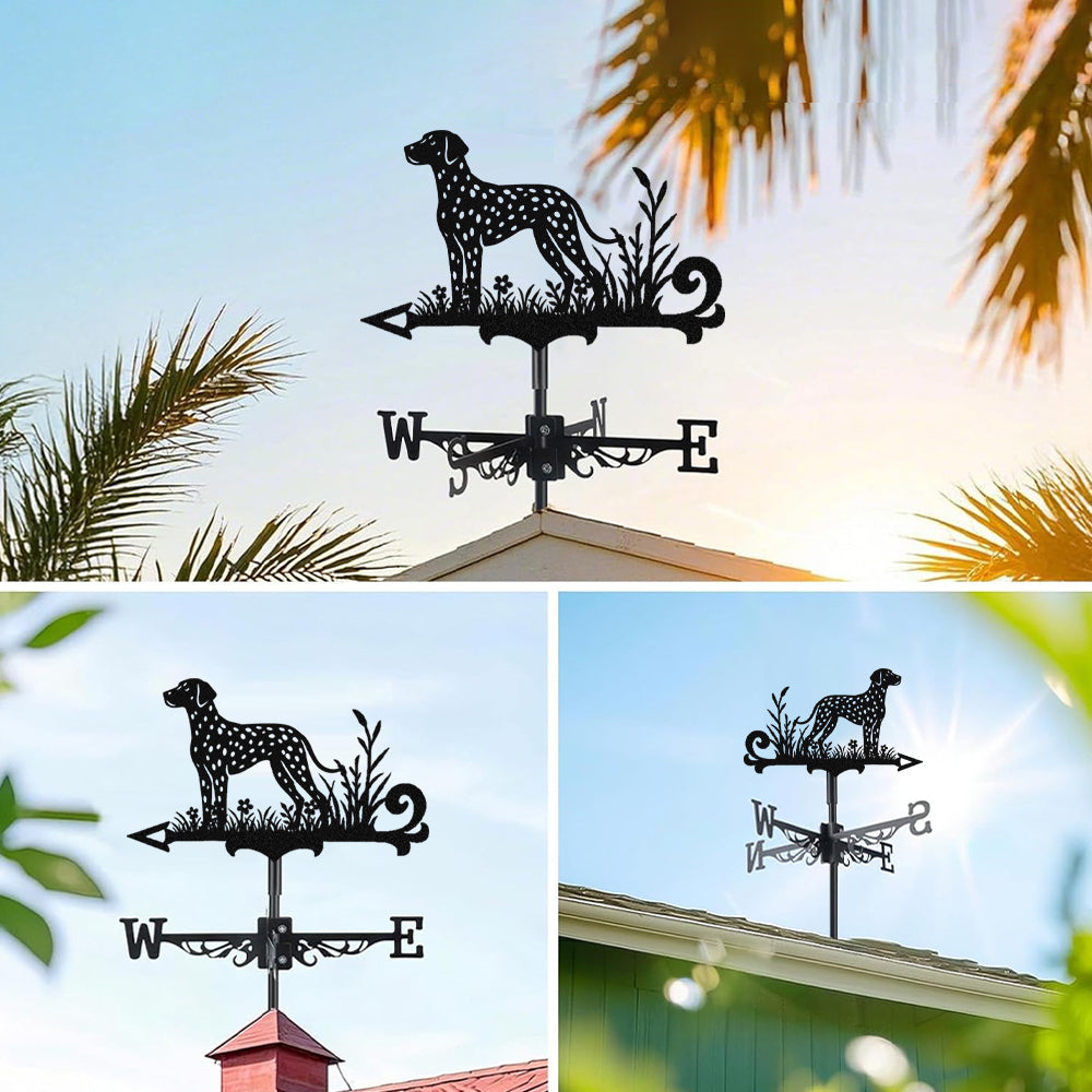 Dalmatian metal weather vane with directional arrows and mounting rod, outdoor roof and garden decoration