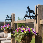 Doberman pinscher metal hanging basket bracket mounted on outdoor wall for plant decoration