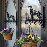 English setter metal hanging basket bracket mounted on outdoor wall for plant decoration