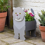 Exotic Shorthair cat planter filled with fresh flowers is placed in the garden