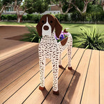 German Shorthaired Pointer dog planter filled with fresh flowers is placed in the garden