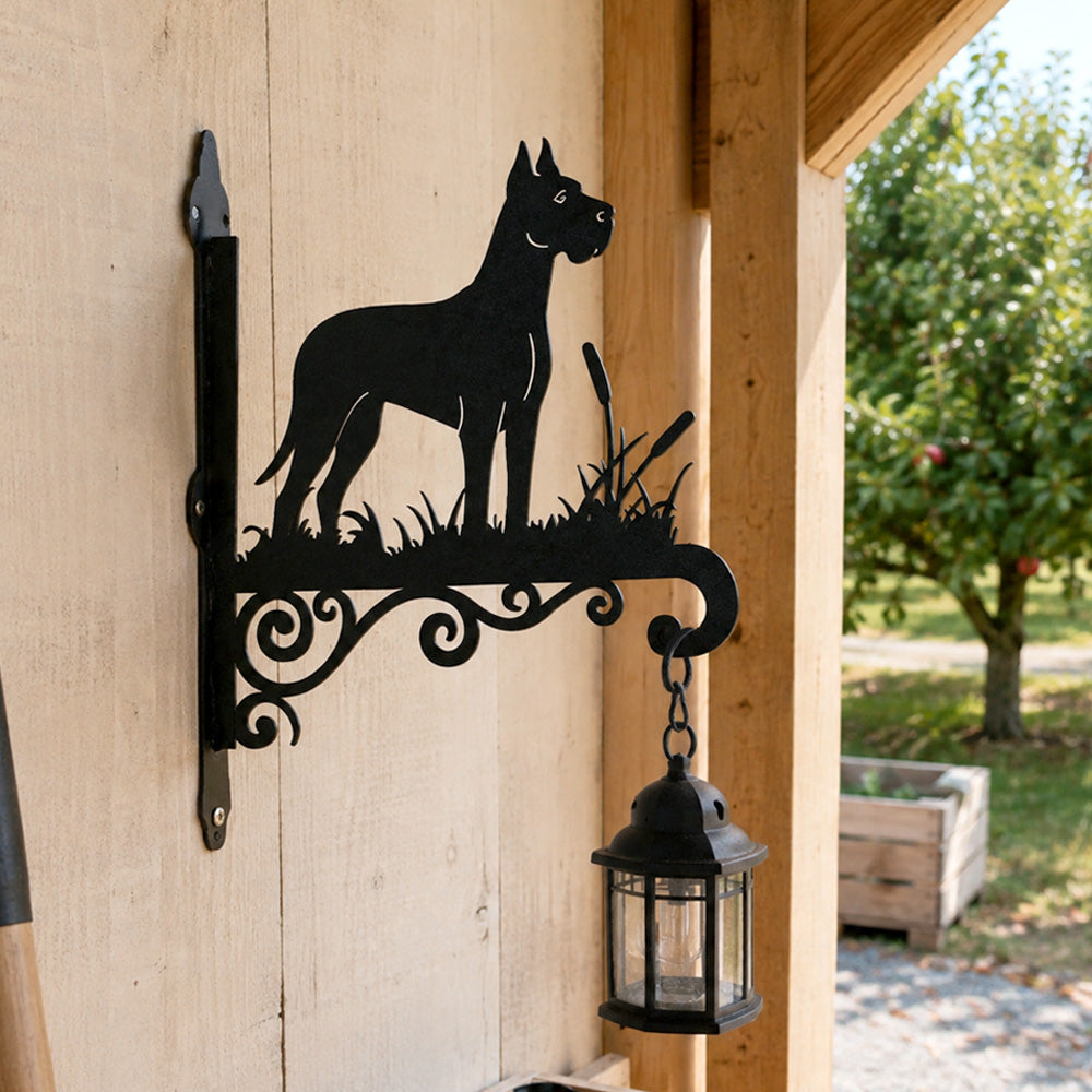 Great dane metal hanging basket bracket mounted on outdoor wall for plant decoration