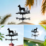 Great Dane metal weather vane with directional arrows and mounting rod, outdoor roof and garden decoration
