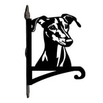 Greyhound metal hanging basket bracket mounted on outdoor wall for plant decoration