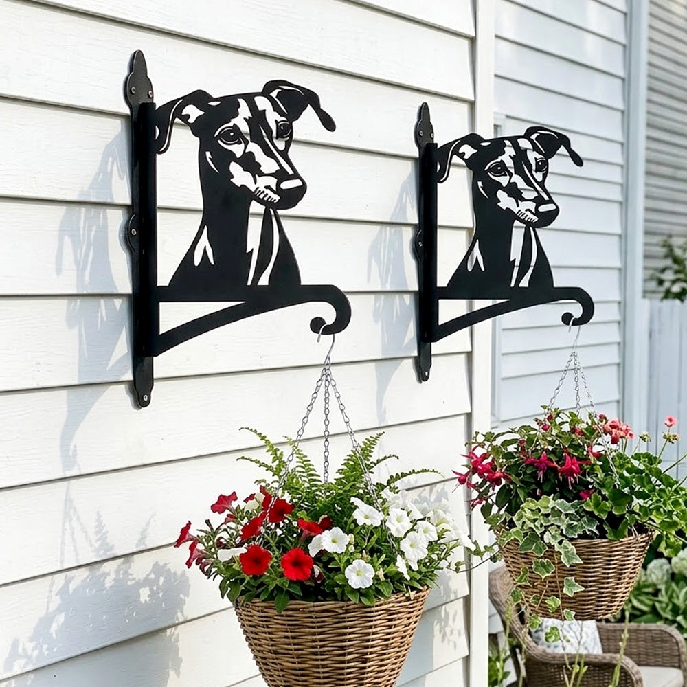 Greyhound metal hanging basket bracket mounted on outdoor wall for plant decoration